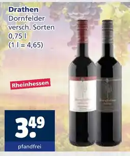 Getränkewelt Drathen dornfelder Angebot