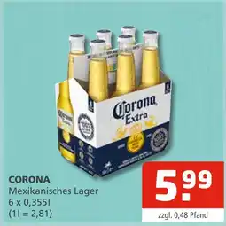 Getränke Oase Corona mexikanisches lager Angebot
