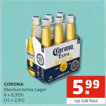 Getränke Oase Corona mexikanisches lager Angebot