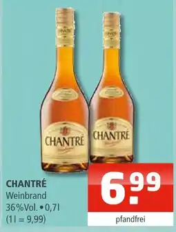 Getränke Oase Chantre weinbrand Angebot