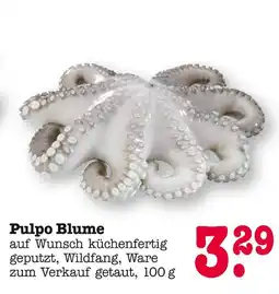 E-Center Pulpo blume Angebot