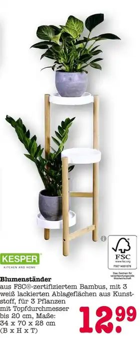 E-Center Kesper blumenständer Angebot