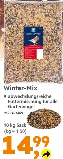 Globus Baumarkt Winter-mix Angebot