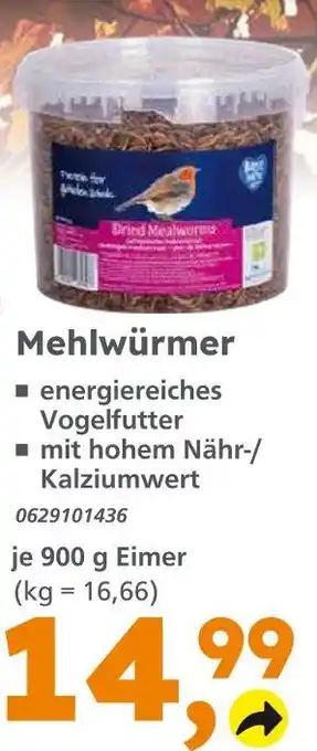 Globus Baumarkt Mehlwürmer Angebot