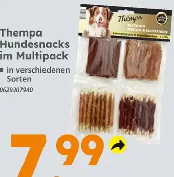 Globus Baumarkt Thempa hundesnacks im multipack Angebot