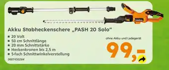 Globus Baumarkt Akku stabheckenschere pash 20 solo Angebot
