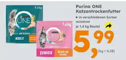 Globus Baumarkt Purina one adult Angebot