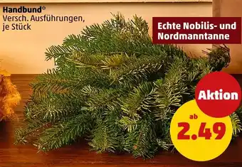 PENNY Echte nobilis- und nordmanntanne Angebot