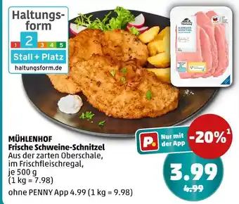 PENNY Mühlenhof frische schweine-schnitzel Angebot