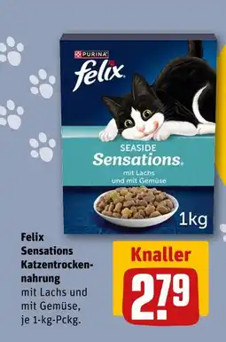 REWE Purina felix sensations seaside Angebot