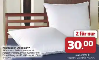 Famila Nord West Kopfkissen Allessia Angebot