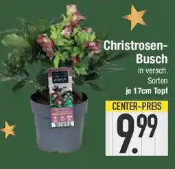 E-Center Christrosen- Busch Angebot