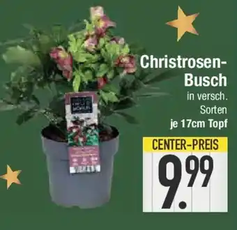 E-Center Christrosen- Busch Angebot