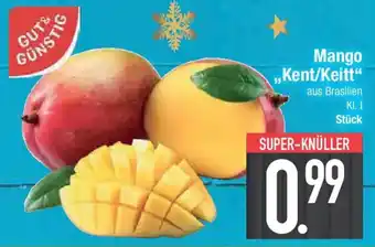 E-Center GUT&GÜNSTIG Mango ,,Kent/Keitt Angebot