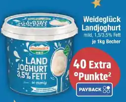 E-Center Weideglück Landjoghurt Angebot