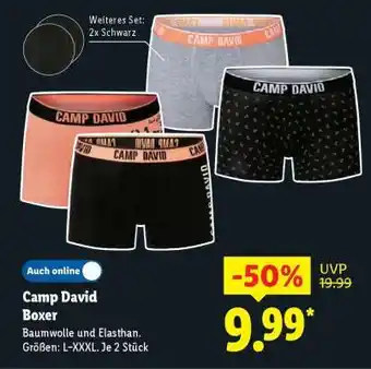 Lidl Camp David Boxer Angebot