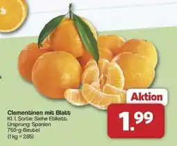 Famila Nord Ost Clementinen mit Blatt Angebot