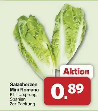 Famila Nord Ost Salatherzen Mini Romana Angebot