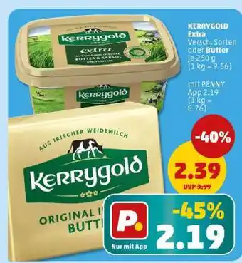 PENNY KERRYGOLD Extra Angebot
