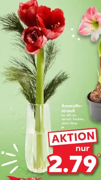 Kaufland Amaryllis- strauß Angebot