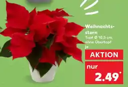 Kaufland Weihnachts- stern Angebot