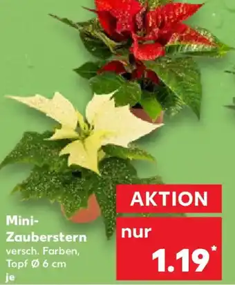Kaufland Mini- Zauberstern Angebot