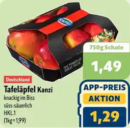 Aktiv Irma Deutschland Tafeläpfel Kanzi Angebot