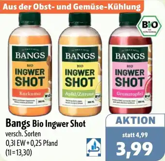 Aktiv Irma Bangs Bio Ingwer Shot Angebot