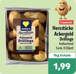 Aktiv Irma Frankreich Herzstücke Ackergold Drillinge Angebot