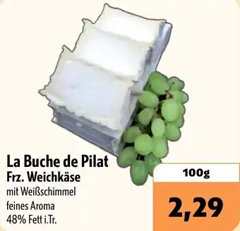 Aktiv Irma La Buche de Pilat Frz. Weichkäse Angebot
