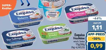 Aktiv Irma Exquisa Frischkäse Angebot