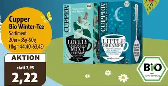 Aktiv Irma Cupper Bio Winter-Tee Angebot