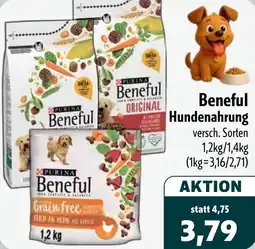 Aktiv Irma Beneful Hundenahrung Angebot