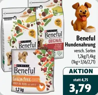 Aktiv Irma Beneful Hundenahrung Angebot