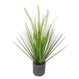 XXXLutz Ambia Dekogras Angebot