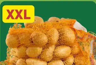 Aldi Nord Speisekartoffeln XXL Angebot