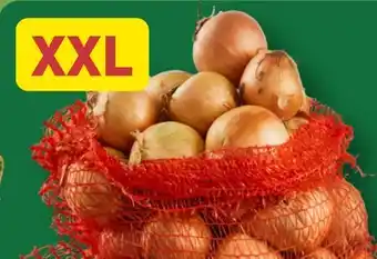 Aldi Nord Zwiebeln XXL Angebot