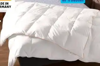 Aldi Nord Novitesse Luxus-Daunendecke Angebot
