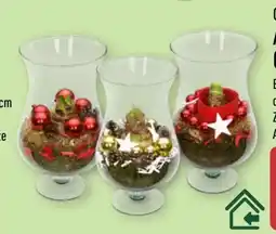 Aldi Nord Gardenline Amaryllis im Glasschwenker Angebot