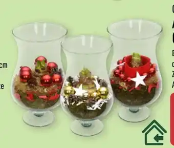 Aldi Nord Gardenline Amaryllis im Glasschwenker Angebot