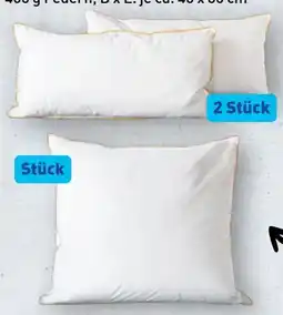 Aldi Nord Novitesse Luxus-3-Kammer-Kopfkissen Angebot