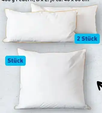 Aldi Nord Novitesse Luxus-3-Kammer-Kopfkissen Angebot
