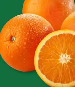 Aldi Nord XXL Orangen Angebot