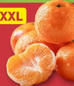 Aldi Nord XXL Clementinen Angebot