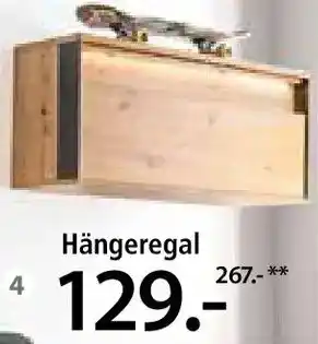 Zurbrüggen Hängeregal Angebot