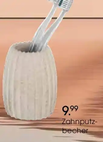 Zurbrüggen Zahnputzbecher Angebot