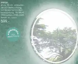 Zurbrüggen Spiegel Angebot