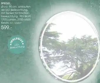 Zurbrüggen Spiegel Angebot