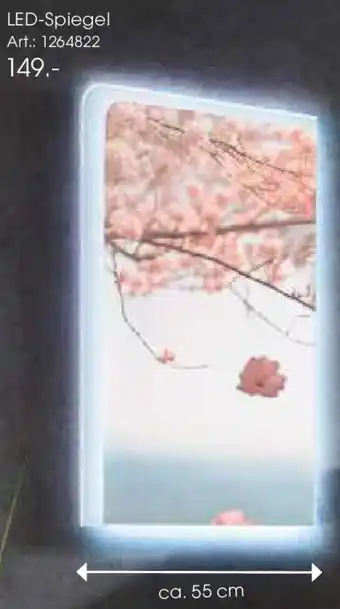 Zurbrüggen Voleo LED-Spiegel Angebot