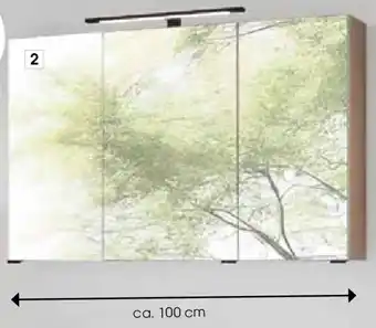 Zurbrüggen Xora Spiegelschrank Angebot